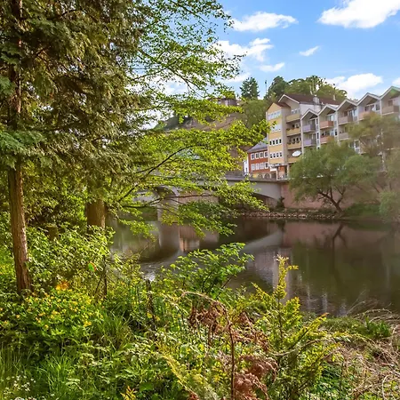I Altstadtvilla Mit Garten Direkt Am Wasser Mit Parkplatz Bad Kreuznach