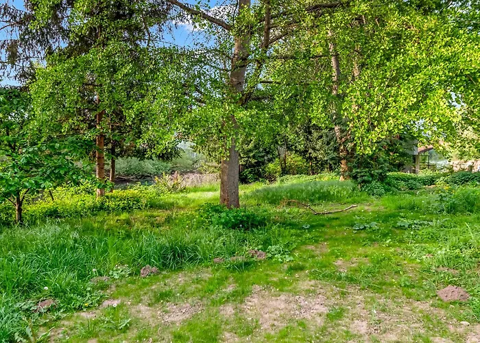 Dom wakacyjny I Altstadtvilla Mit Garten Direkt Am Wasser Mit Parkplatz *